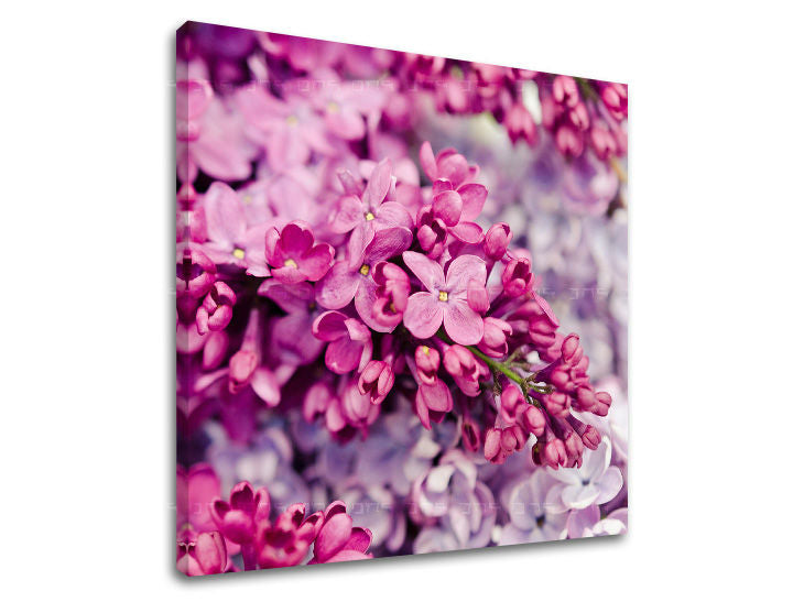 Stenska slika FLOWERS KV048E12