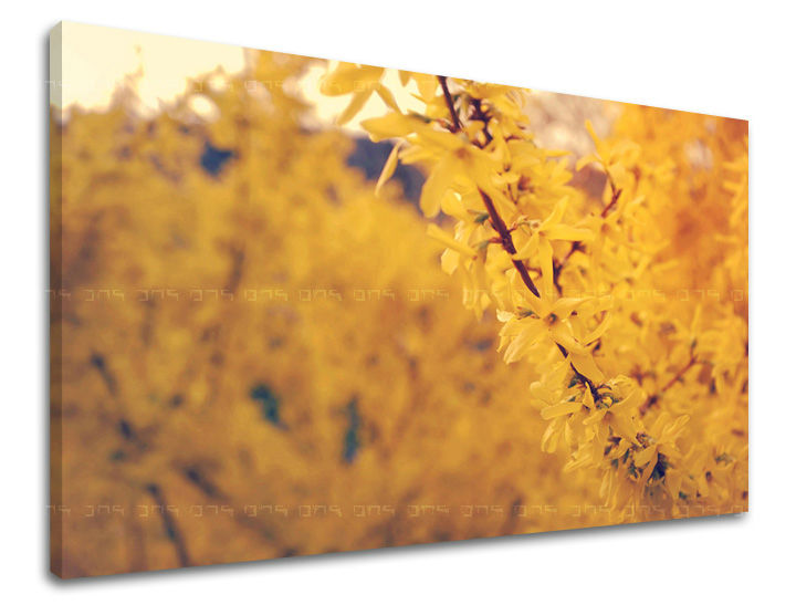 Stenska poslikava FLOWERS KV050E11