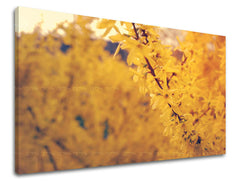 Stenska poslikava FLOWERS KV050E11