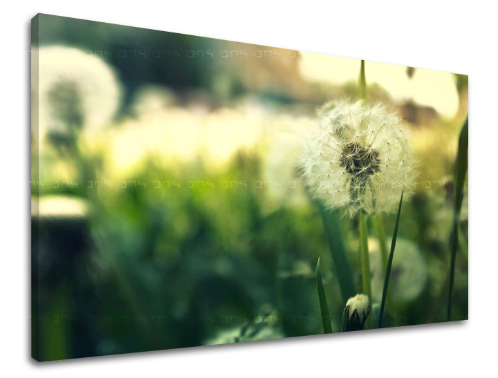 Stenska poslikava FLOWERS KV051E11