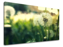 Stenska poslikava FLOWERS KV051E11