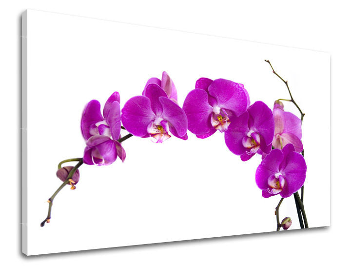 Stenska slika FLOWERS KV052E11