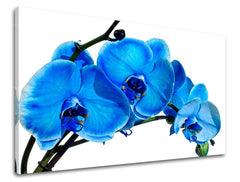 Stenska poslikava FLOWERS KV054E11