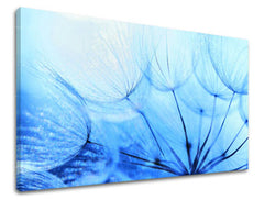 Stenska slika FLOWERS PÚPAVA KV057E11