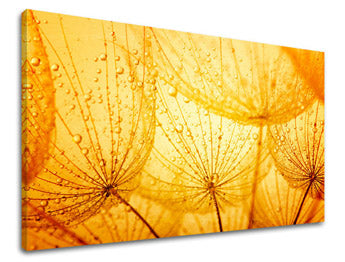 Stenska slika FLOWERS PÚPAVA KV059E11