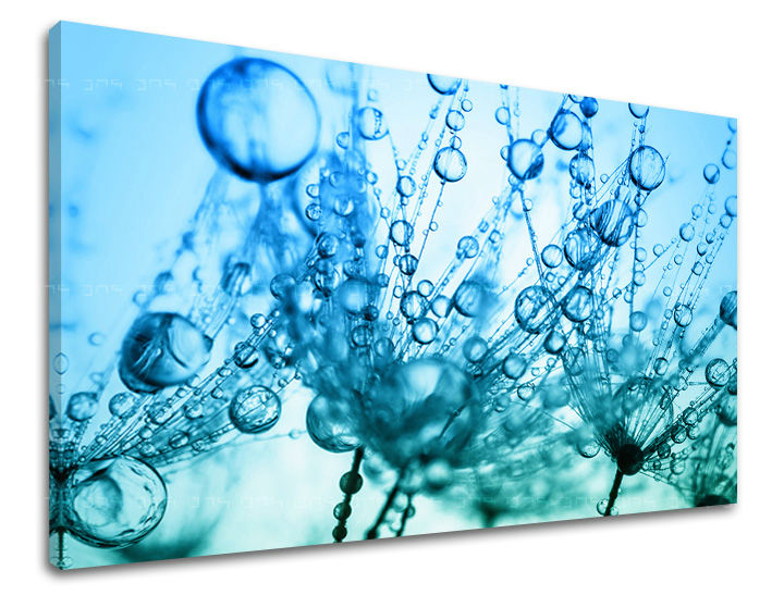 Stenska slika FLOWERS PÚPAVA KV060E11