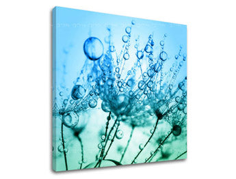 Stenska poslikava FLOWERS KV060E12