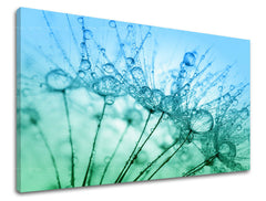 Stenska slika FLOWERS PÚPAVA KV061E11