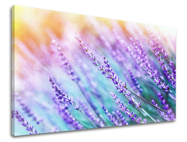 Stenska slika FLOWERS KV064E11