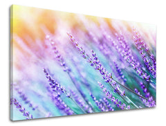 Stenska slika FLOWERS KV064E11