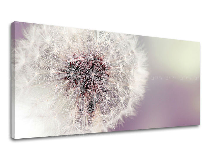 Stenska slika PANORAMA FLOWERS KV065E13