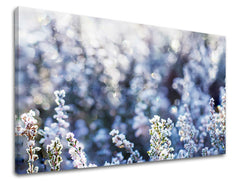 Stenska poslikava FLOWERS KV067E11