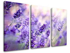 3-delna stenska slika FLOWERS KV070E30