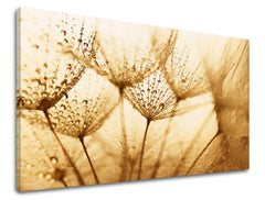 Stenska slika FLOWERS PÚPAVA KV071E11