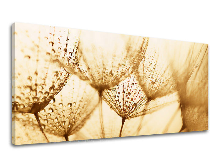 Stenska slika PANORAMA FLOWERS KV071E13