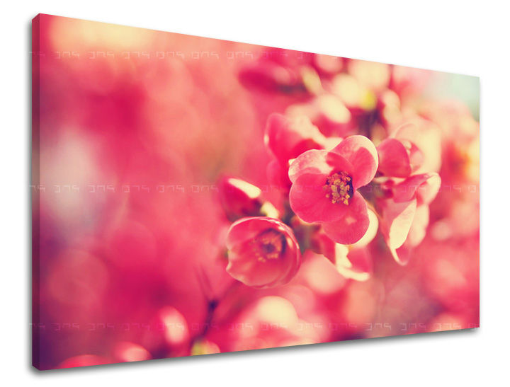 Stenska poslikava FLOWERS KV072E11