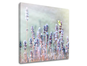 Stenska slika FLOWERS KV077E12