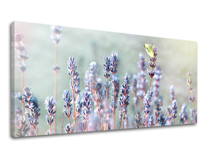 Stenska slika PANORAMA FLOWERS KV077E13