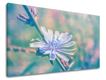 Stenska slika FLOWERS KV078E11