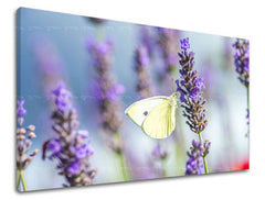 Stenska slika Cvetje KV079E11