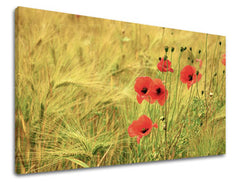 Stenska slika FLOWERS KV080E11