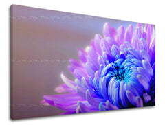 Stenska poslikava FLOWERS KV081E11