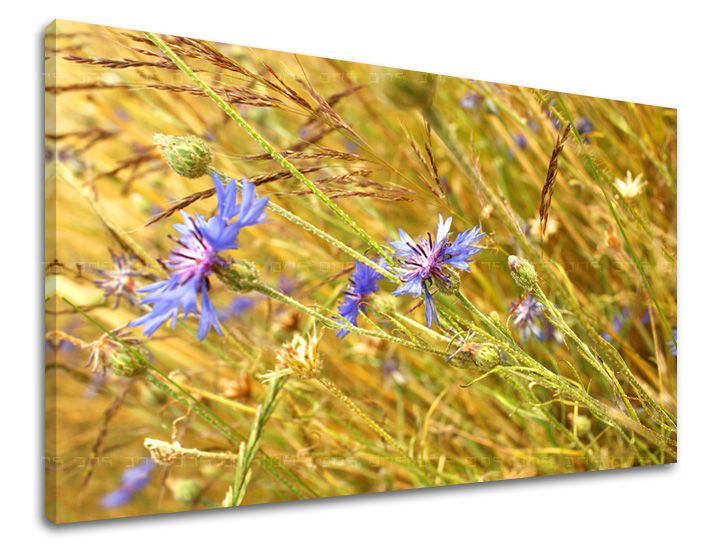 Stenska slika FLOWERS KV082E11