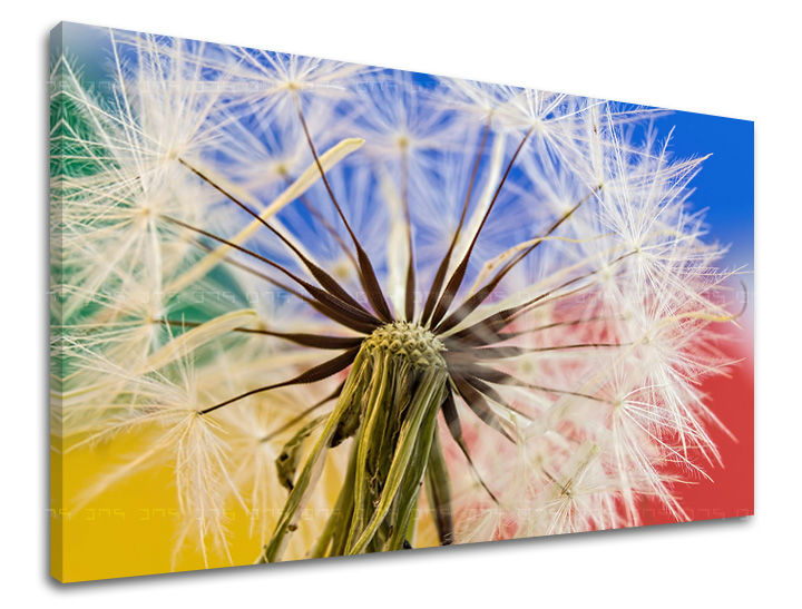 Stenska poslikava CVETJE KV084E11