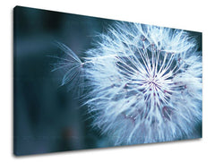 Stenska slika FLOWERS PÚPAVA KV086E11