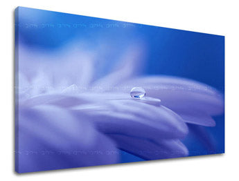 Stenska poslikava CVETJE KV087E11