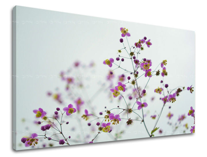 Stenska poslikava FLOWERS KV089E11