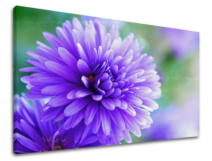 Stenska slika FLOWERS KV090E11