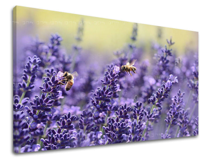 Stenska slika FLOWERS KV091E11