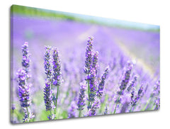 Stenska slika FLOWERS KV092E11