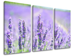 3-delna stenska slika FLOWERS KV092E30