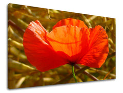 Stenska slika FLOWERS MAKY KV096E11