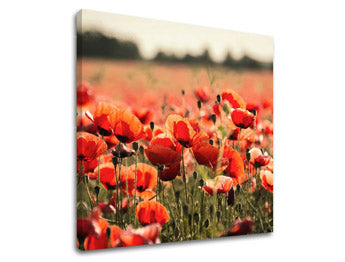 Stenska slika FLOWERS KV097E12