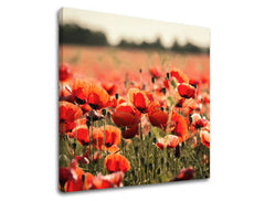 Stenska slika FLOWERS KV097E12