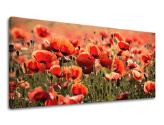 Stenska slika PANORAMA FLOWERS KV097E13