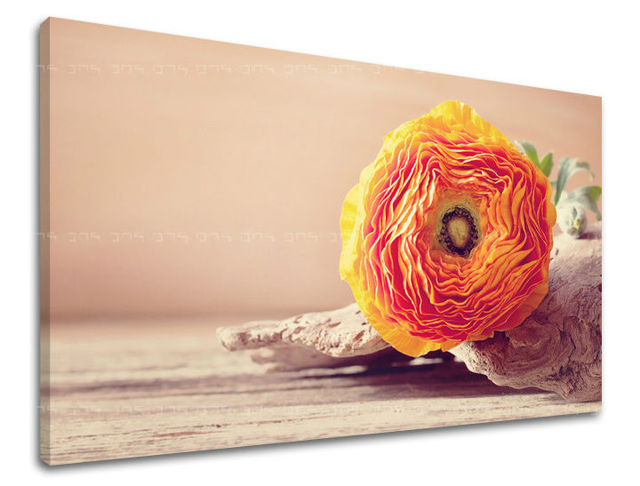 Stenska slika FLOWERS KV098E11