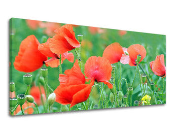 Stenska slika PANORAMA FLOWERS KV099E13