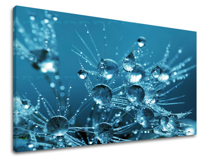 Stenska slika FLOWERS PÚPAVA KV101E11