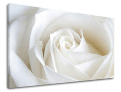 Stenska slika Cvetje vrtnic XOBKV103E11