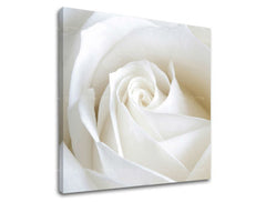 Stenska slika FLOWERS XOBKV103E12