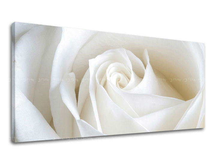 Stenska slika Panorama FLOWERS XOBKV103E13