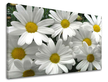 Stenska slika FLOWERS XOBKV106E11