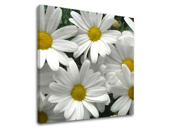 Stenska slika FLOWERS XOBKV106E12