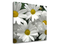 Stenska slika FLOWERS XOBKV106E12