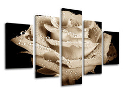 5-delna stenska slika FLOWERS XOBKV109E50