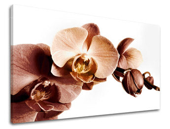 Stenska slika FLOWERS XOBKV110E11